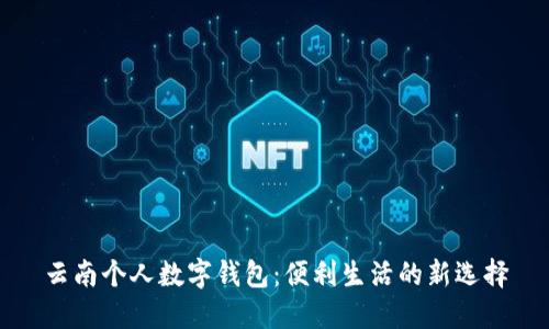 云南个人数字钱包：便利生活的新选择